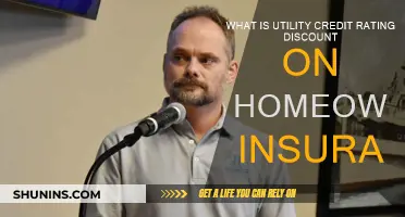Understanding Home Insurance Discounts with Utility Credit Ratings
