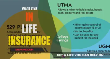 Understanding UTMA: A Comprehensive Guide to Life Insurance