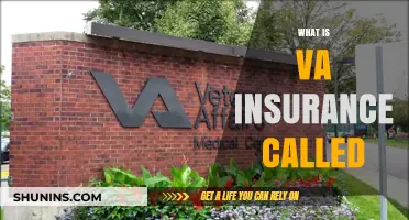 Understanding VA Insurance: What Veterans Need to Know
