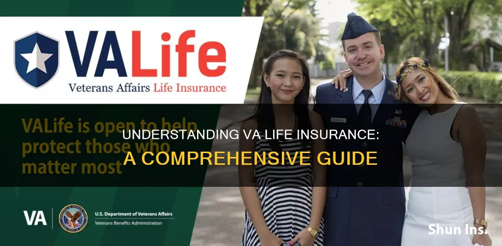 what is va life insurance