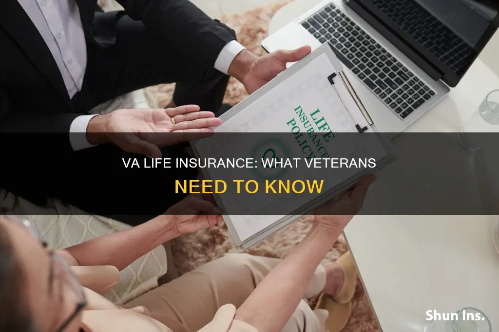 what is va life insurance