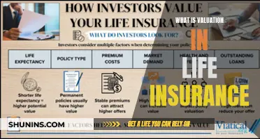 Understanding Life Insurance Valuation: A Comprehensive Guide