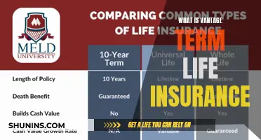 Understanding Vantage Term Life Insurance: A Comprehensive Guide