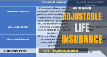 Understanding Variable Adjustable Life Insurance: A Comprehensive Guide