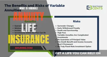 Unlocking the Mystery: Understanding Variable Annuity Life Insurance