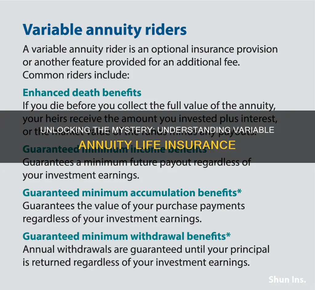 what is variable annuity life insurance