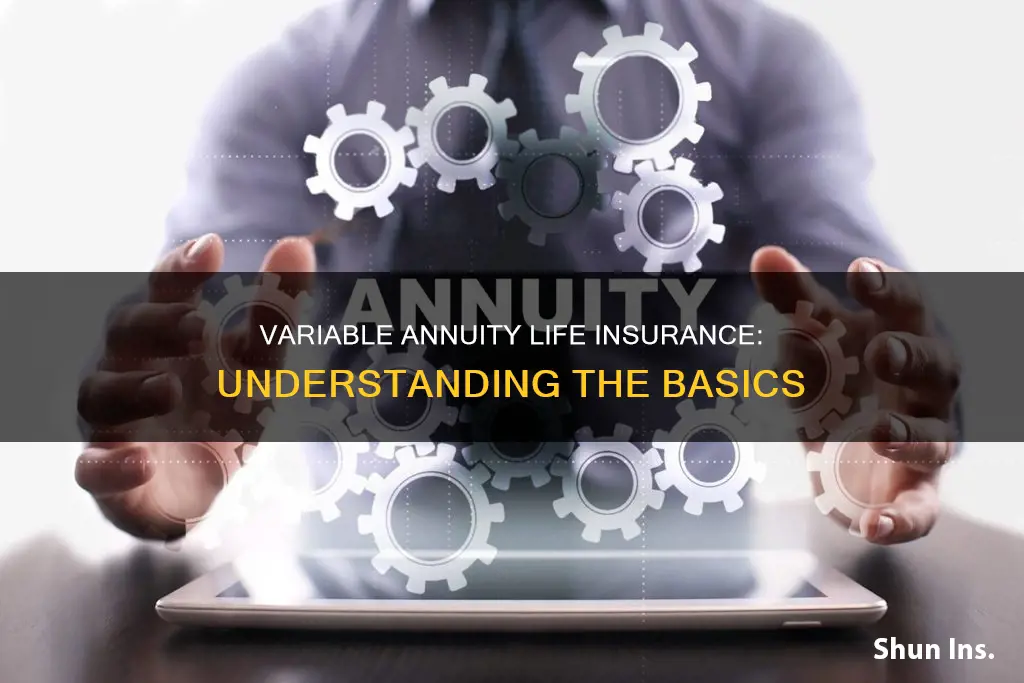 what is variable annuity life insurance
