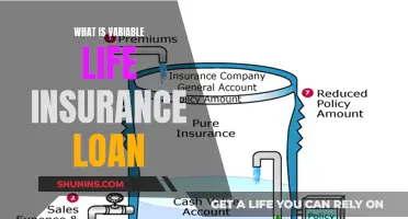 Understanding Variable Life Insurance Loans: A Comprehensive Guide