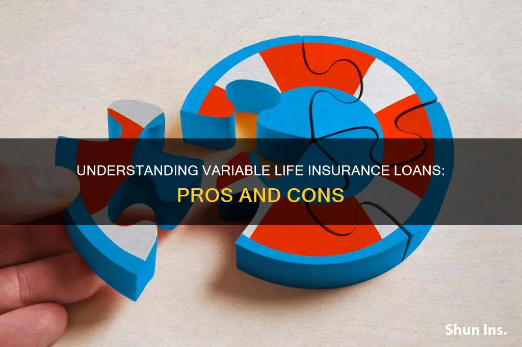 what is variable life insurance loan