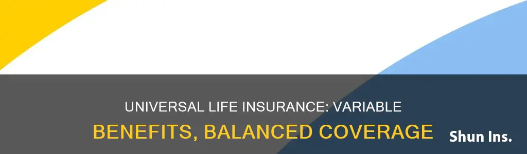 what is variable universal life insurance the balance
