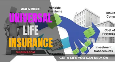 Universal Life Insurance: Variable Options and Benefits Explained