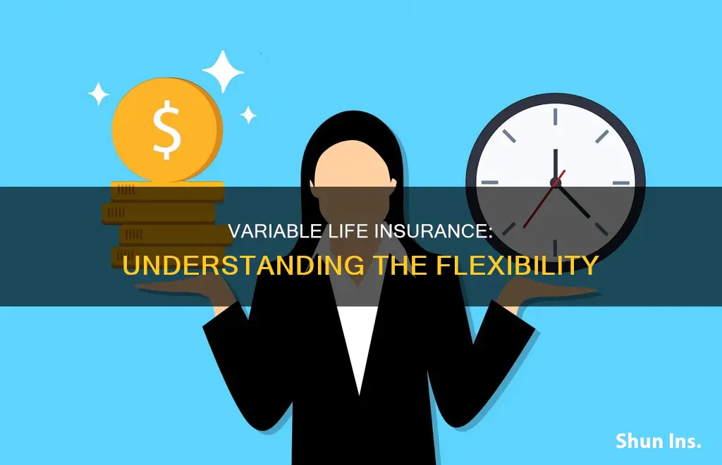 what is varible life insurance