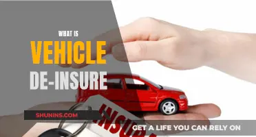 Vehicle De-Insure: What You Need to Know