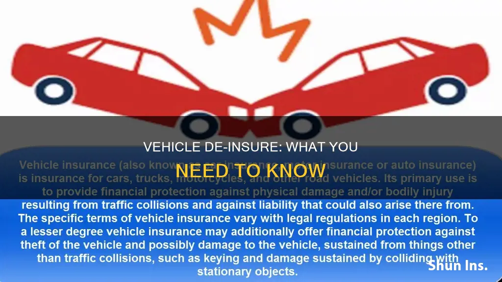 what is vehicle de-insure