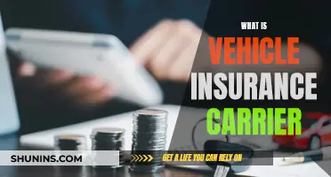 Vehicle Insurance Carrier: What You Need to Know