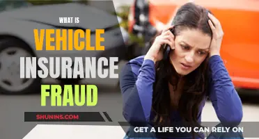 Insurance Fraud: Deceiving Vehicle Claims