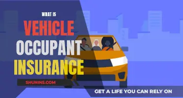 Vehicle Occupant Insurance: Who and What is Covered?