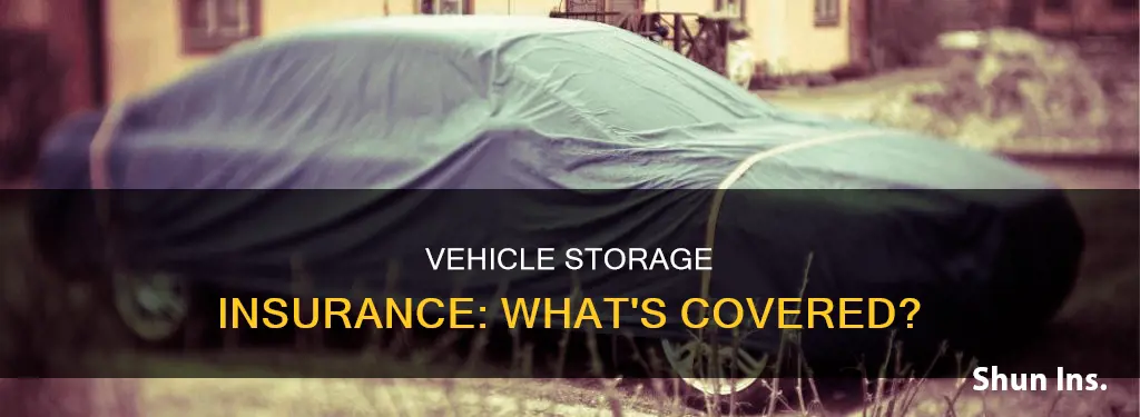 what is vehicle storage insurance