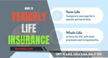 Understanding the Basics: What is Verily Life Insurance?