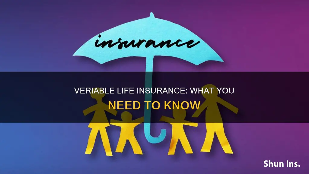 what is veriably life insurance