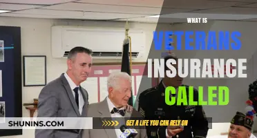 Veterans Affairs Insurance: What You Need to Know