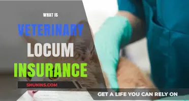 Understanding Veterinary Locum Insurance: Coverage, Benefits, and Why It's Essential