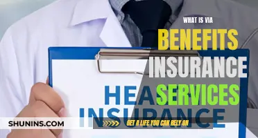 Uncover the Power of VIA Benefits Insurance Services