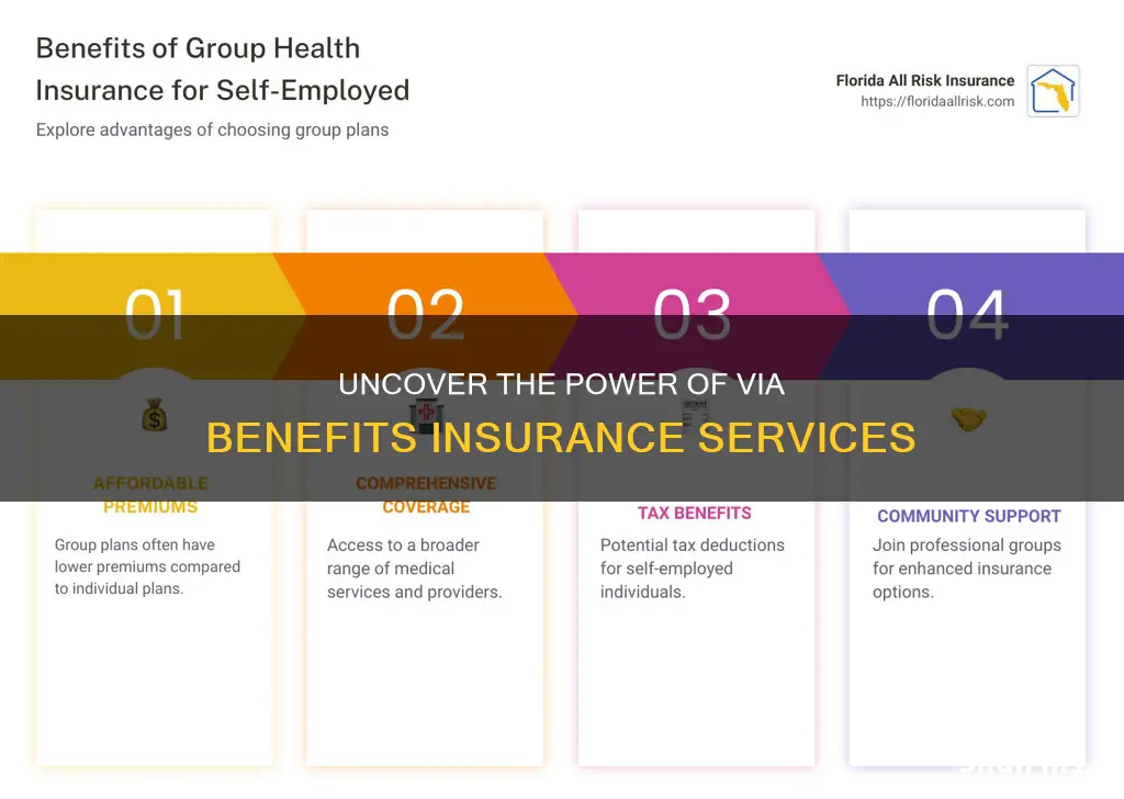 what is via benefits insurance services