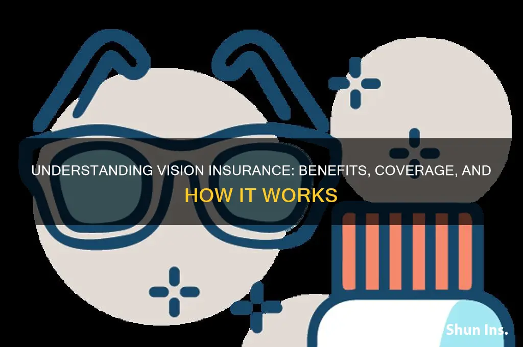 what is vision insurance
