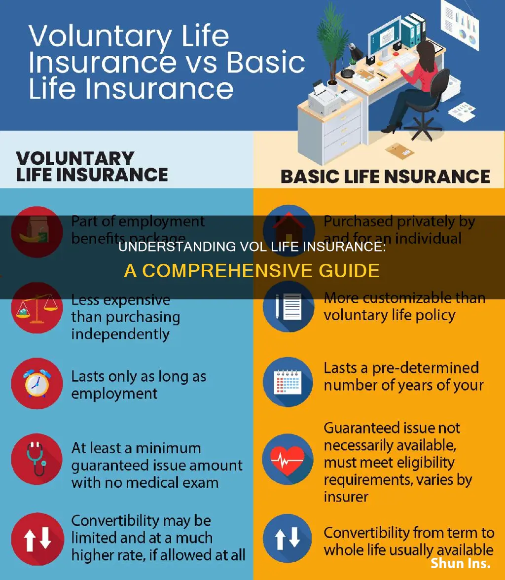 what is vol life insurance