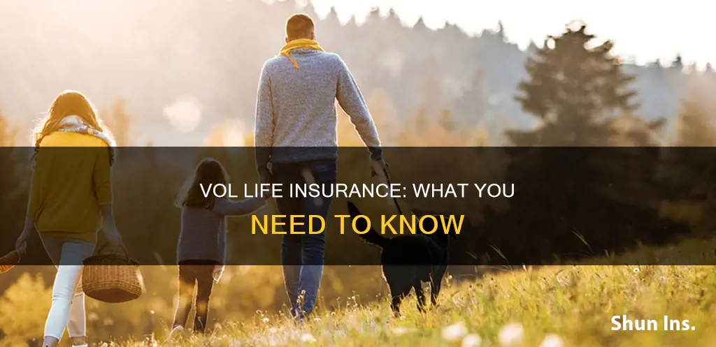 what is vol life insurance