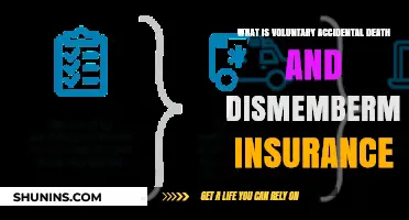Understanding Voluntary Accidental Death and Dismemberment Insurance Benefits