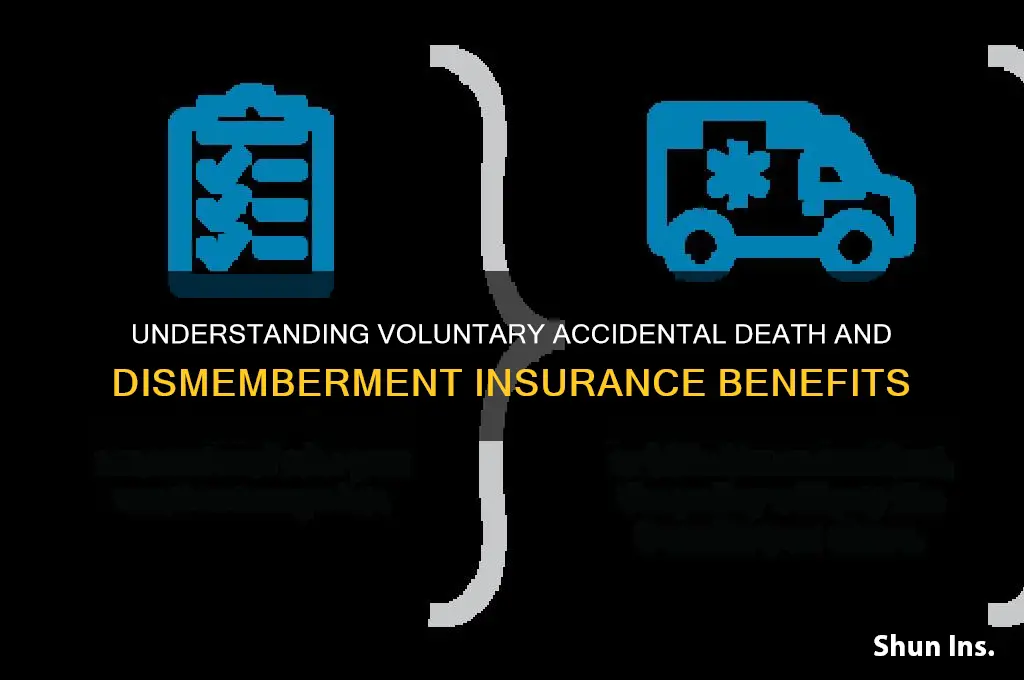 what is voluntary accidental death and dismemberment insurance