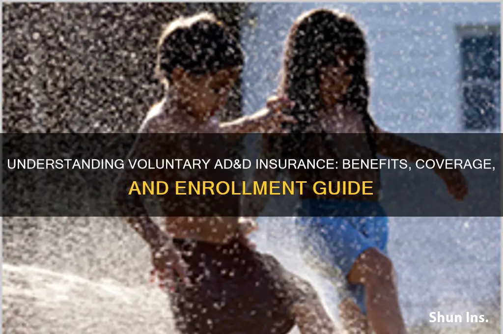 what is voluntary ad&d insurance