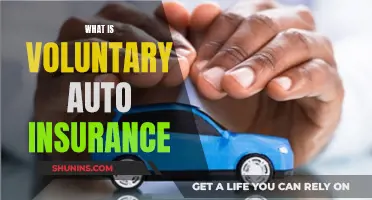 Auto Insurance: Understanding Voluntary Coverage Options