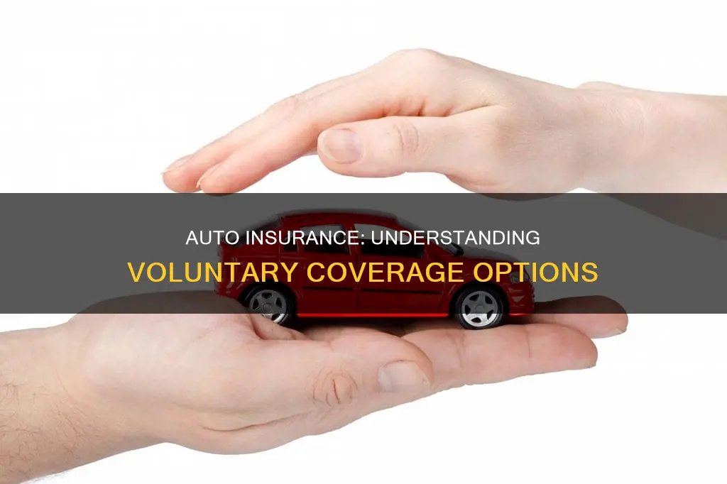 what is voluntary auto insurance