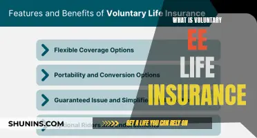 Understanding Voluntary EE Life Insurance: A Comprehensive Guide