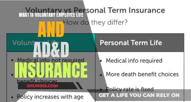 Understanding Voluntary Employee Life and AD&D Insurance Benefits