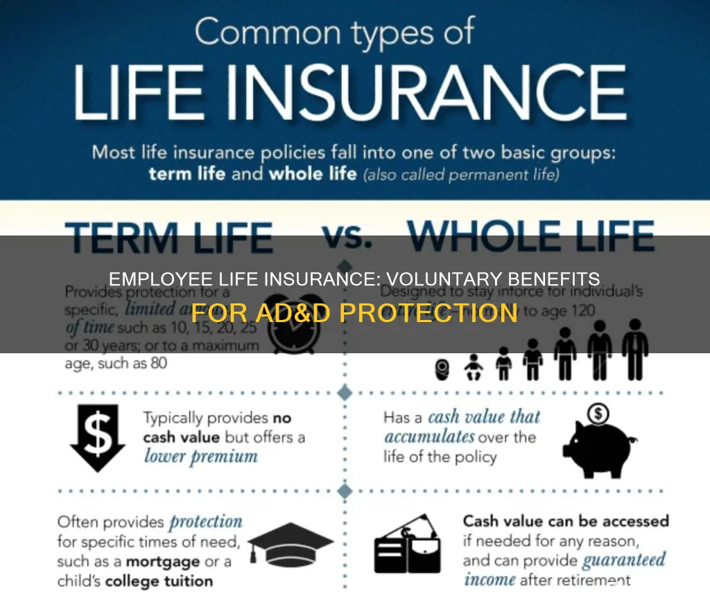 what is voluntary employee life and ad&d insurance