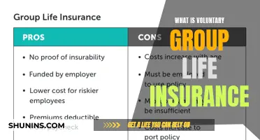 Understanding Voluntary Group Life Insurance: Benefits and Considerations