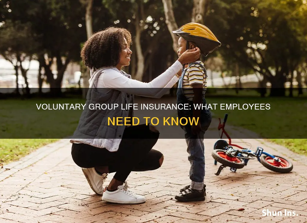 what is voluntary group life insurance