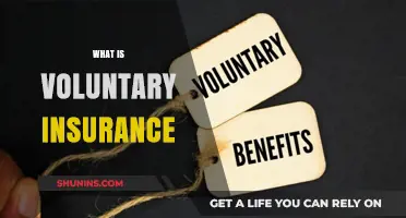 Voluntary Insurance: What You Need to Know