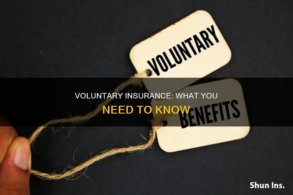 what is voluntary insurance