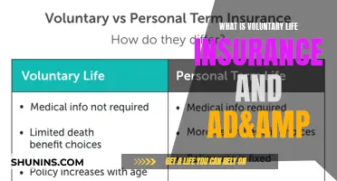 Understanding Voluntary Life Insurance: A Comprehensive Guide to Additional Death & Dismemberment Coverage