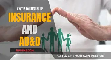 Life Insurance: Voluntary Benefits and AD&D Explained