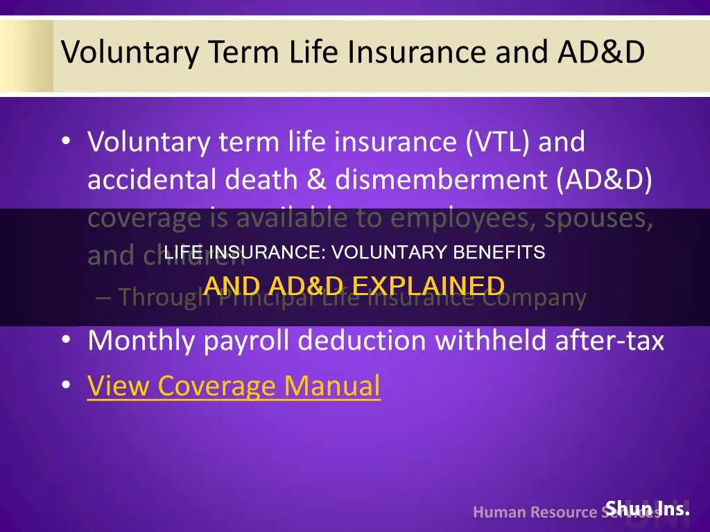 what is voluntary life insurance and ad&d