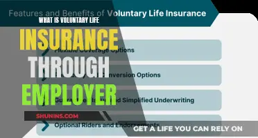 Understanding Voluntary Life Insurance: A Comprehensive Guide for Employees