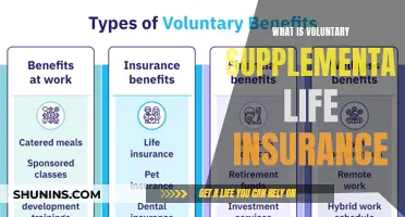 Understanding Voluntary Supplemental Life Insurance: A Comprehensive Guide