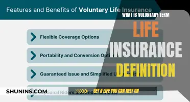 Understanding Voluntary Term Life Insurance: A Comprehensive Guide