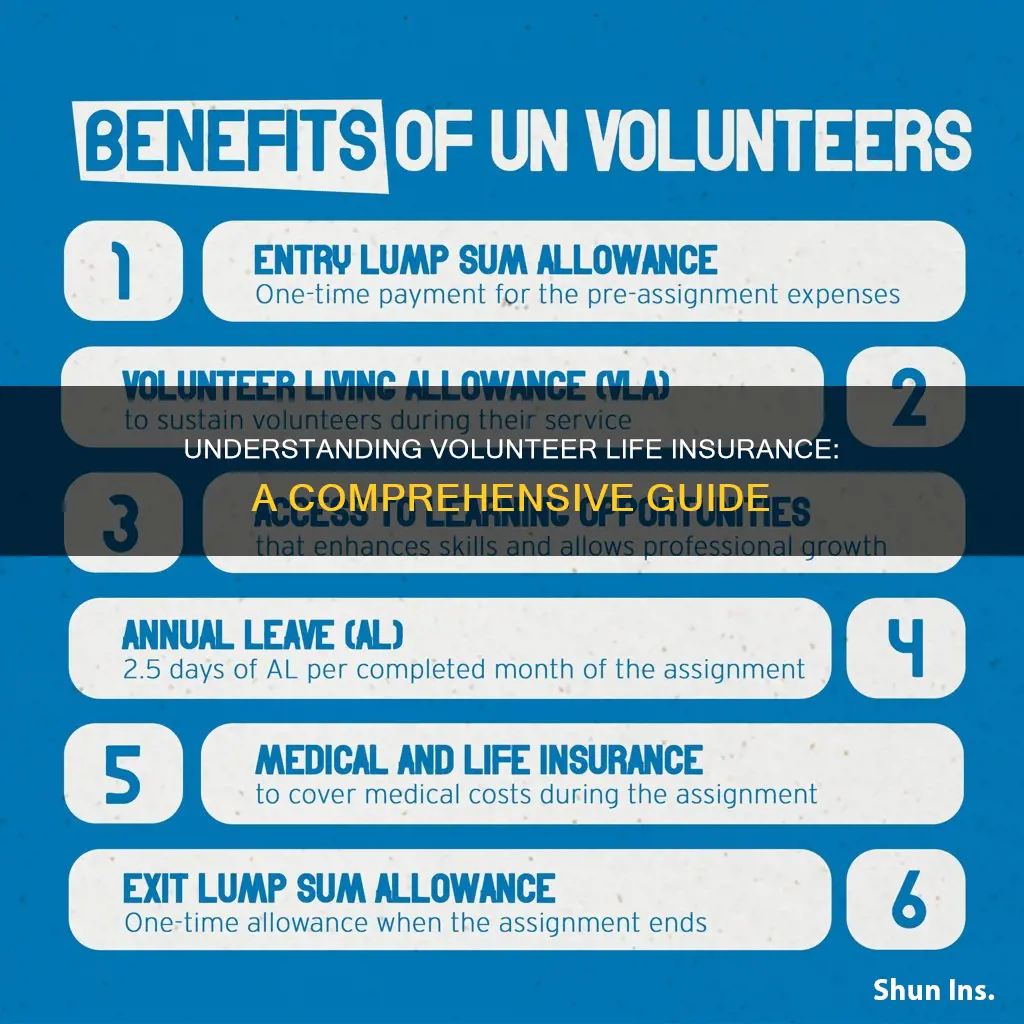 what is volunter life insurance